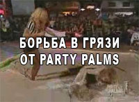    - Party Palms