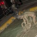     mudwrestling