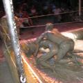 mud wrestling