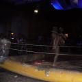   mudwrestling       